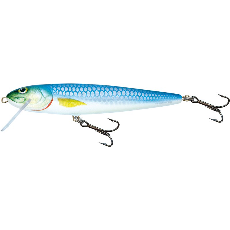 Купить Salmo QWF005 White Fish Limited Edition Floating Пескарь 130 mm Blue Silver 7ft.ru в интернет магазине Семь Футов