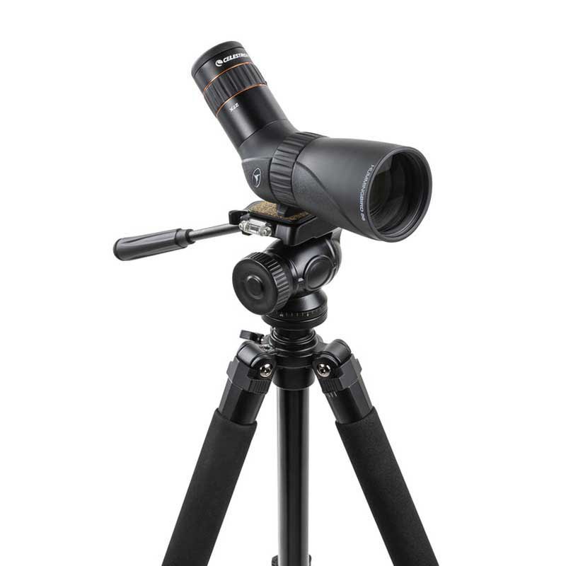 Купить Celestron C52310 Spotting Scope Micro Hummingbird 9-27x56 Телескоп  Black 7ft.ru в интернет магазине Семь Футов