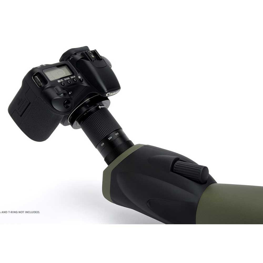 Купить Celestron C52252 Spotting Scope Ultima 100 45º Телескоп  Black 7ft.ru в интернет магазине Семь Футов