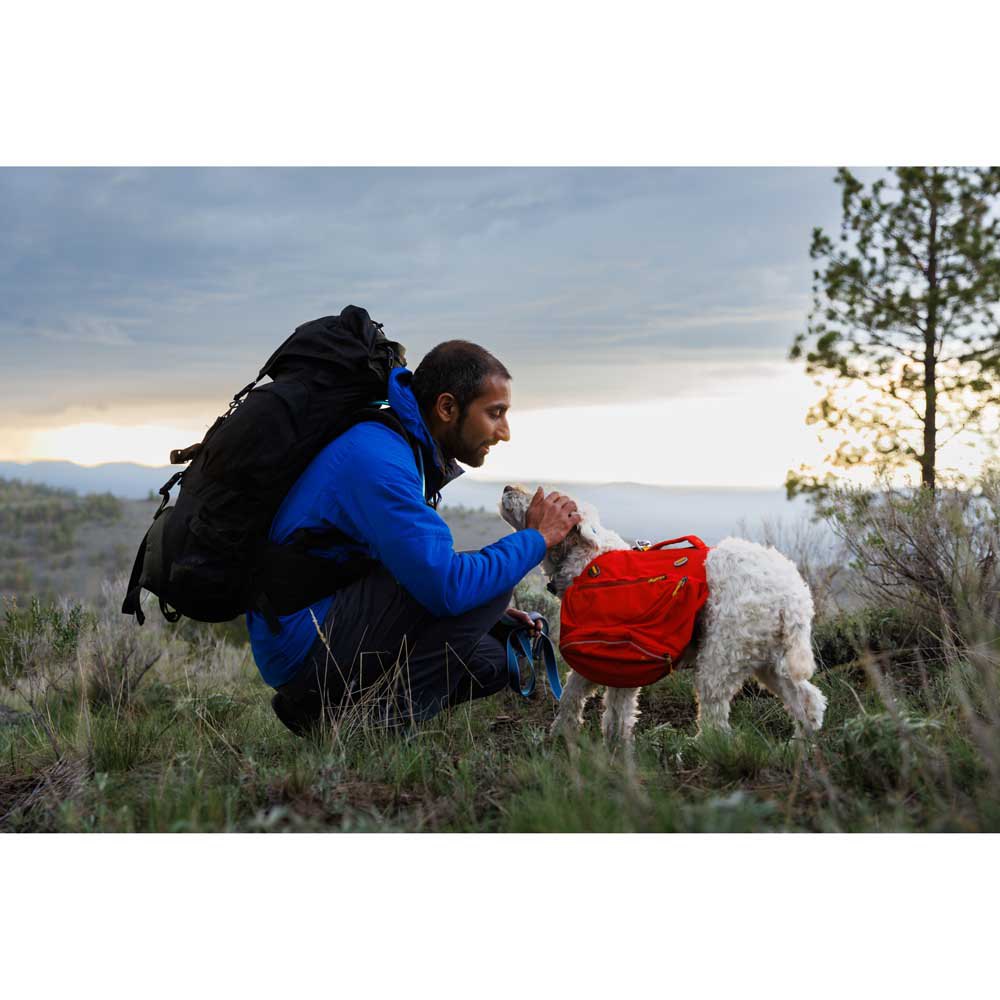 Купить Ruffwear 25802-9802026 Crag™ Воротник  Alpine Dawn 20-26 cm 7ft.ru в интернет магазине Семь Футов