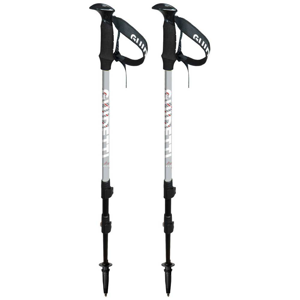 Купить Guidetti R10320 Altitude Поляки Черный  Ice 63-135 cm 7ft.ru в интернет магазине Семь Футов