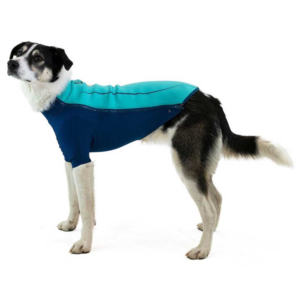 Купить Ruffwear 0535-421S Undercoat Water Куртка для собак Голубой Aurora Teal S 7ft.ru в интернет магазине Семь Футов