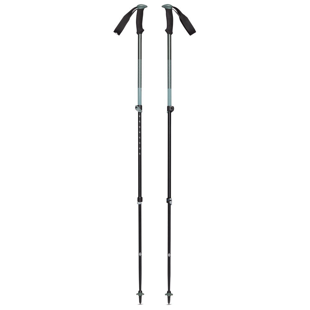 Купить Black diamond BD1125493053ALL1 Trail Sport Поляки Серебристый Laurel Green 100-140 cm 7ft.ru в интернет магазине Семь Футов