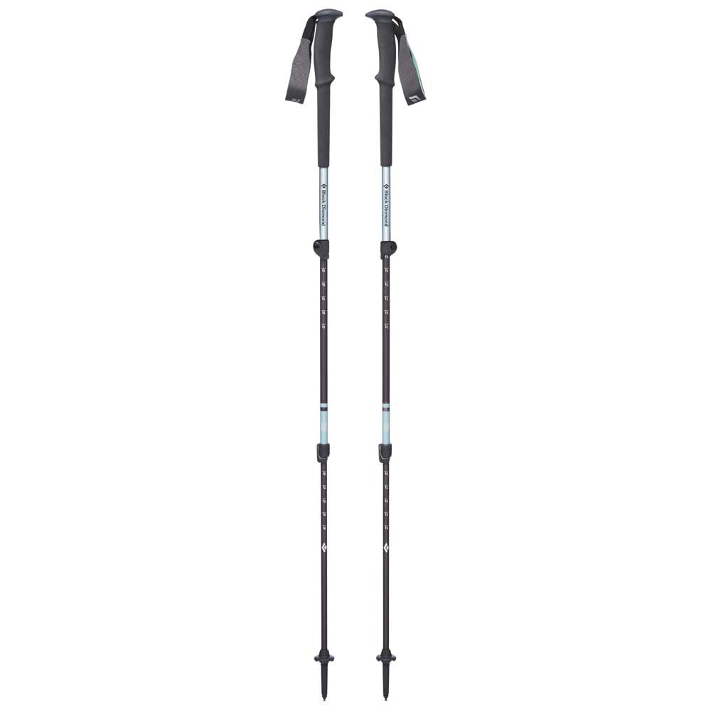 Купить Black diamond BD1125083000ALL Trail Поляки Серый  Alpine Lake 62-125 cm 7ft.ru в интернет магазине Семь Футов