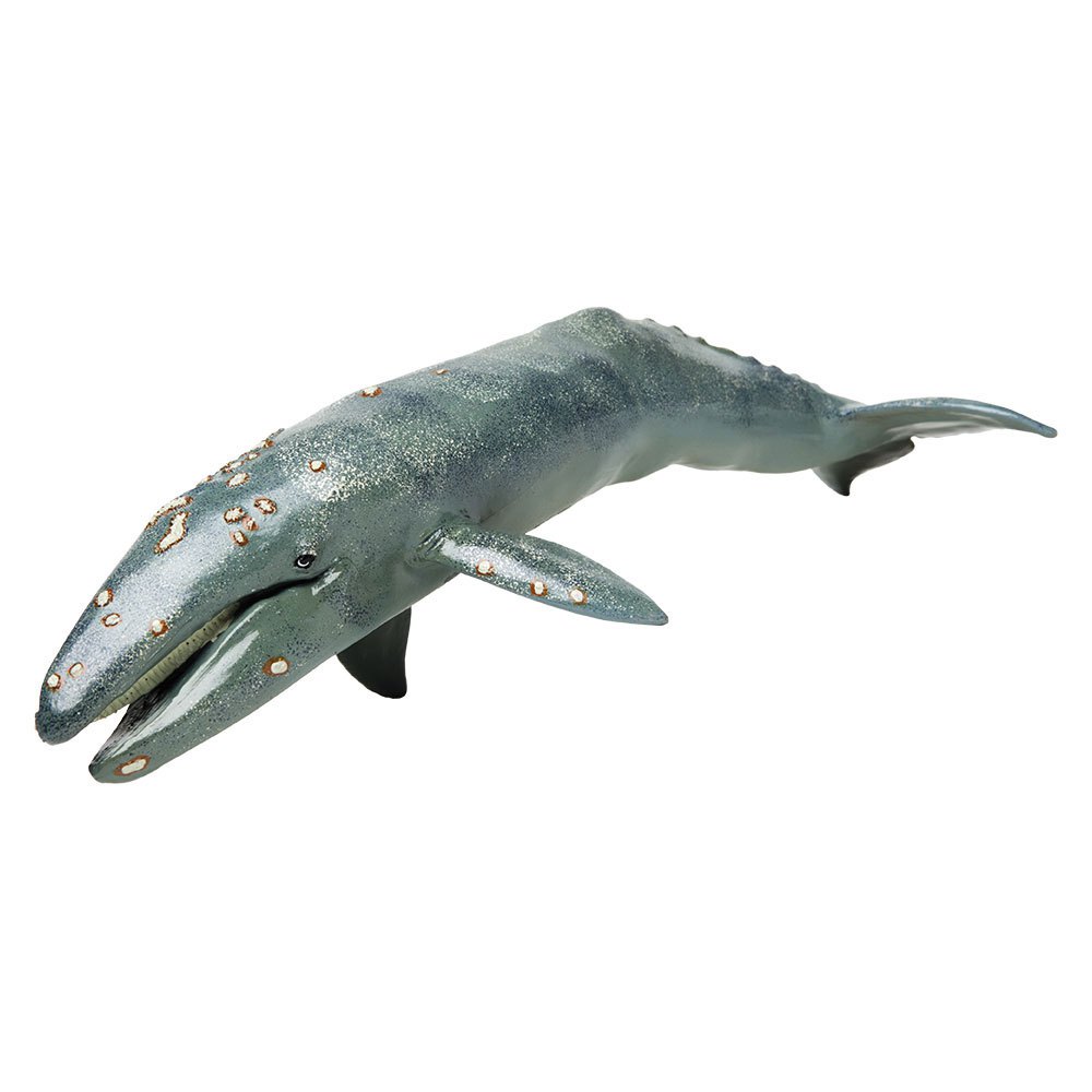 Купить Safari ltd S210402 Gray Whale Фигура Серый  Grey From 3 Years  7ft.ru в интернет магазине Семь Футов