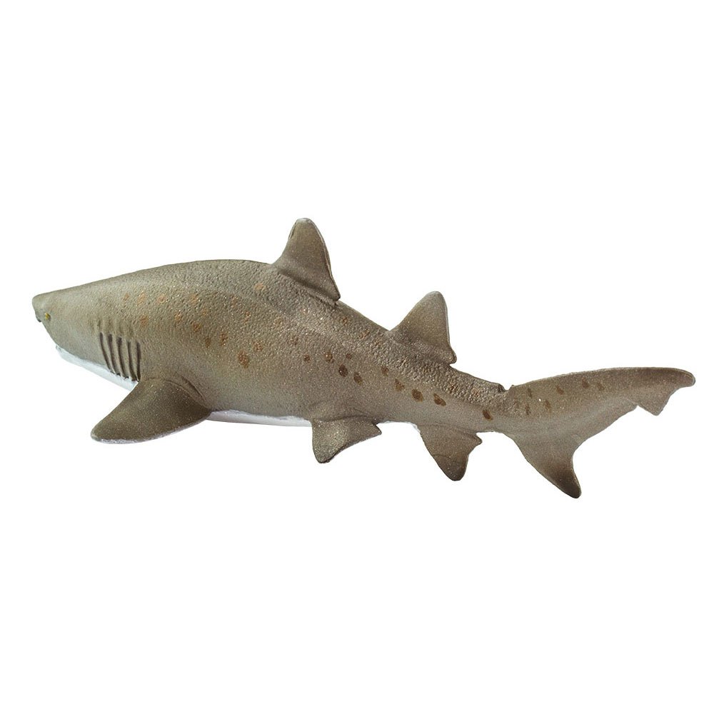Купить Safari ltd S100369 Sand Tiger Shark Фигура Зеленый  Grey From 3 Years  7ft.ru в интернет магазине Семь Футов