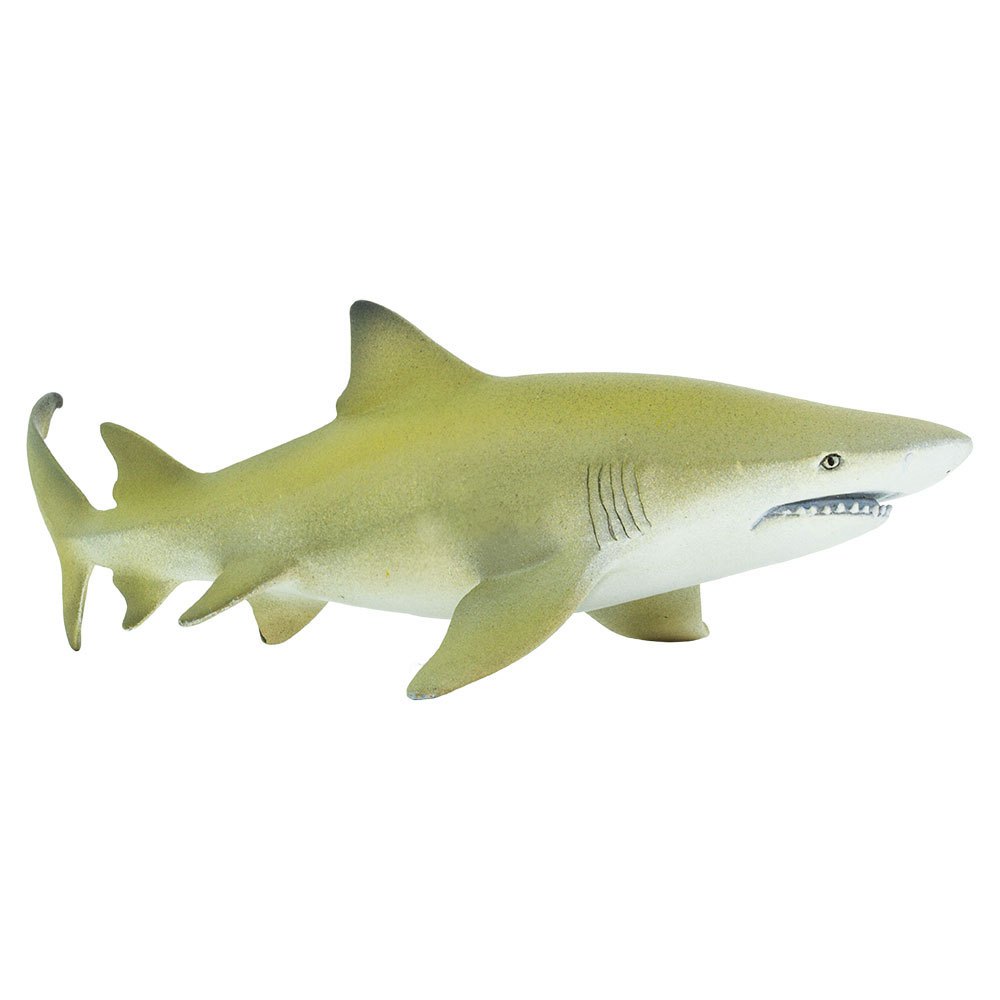 Купить Safari ltd S100097 Lemon Shark Фигура Желтый  Yellow / Grey From 3 Years  7ft.ru в интернет магазине Семь Футов