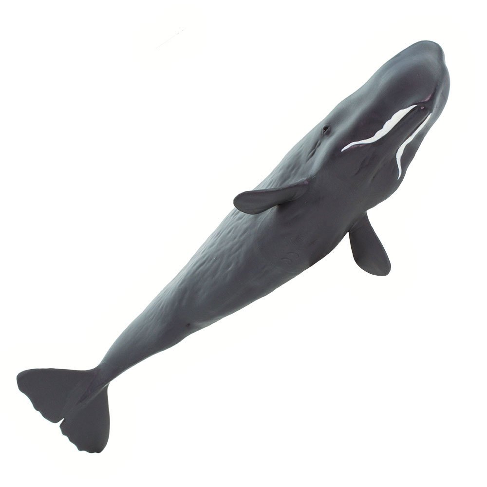 Купить Safari ltd S100209 Sperm Whale Фигура Серый  Dark Grey From 3 Years  7ft.ru в интернет магазине Семь Футов