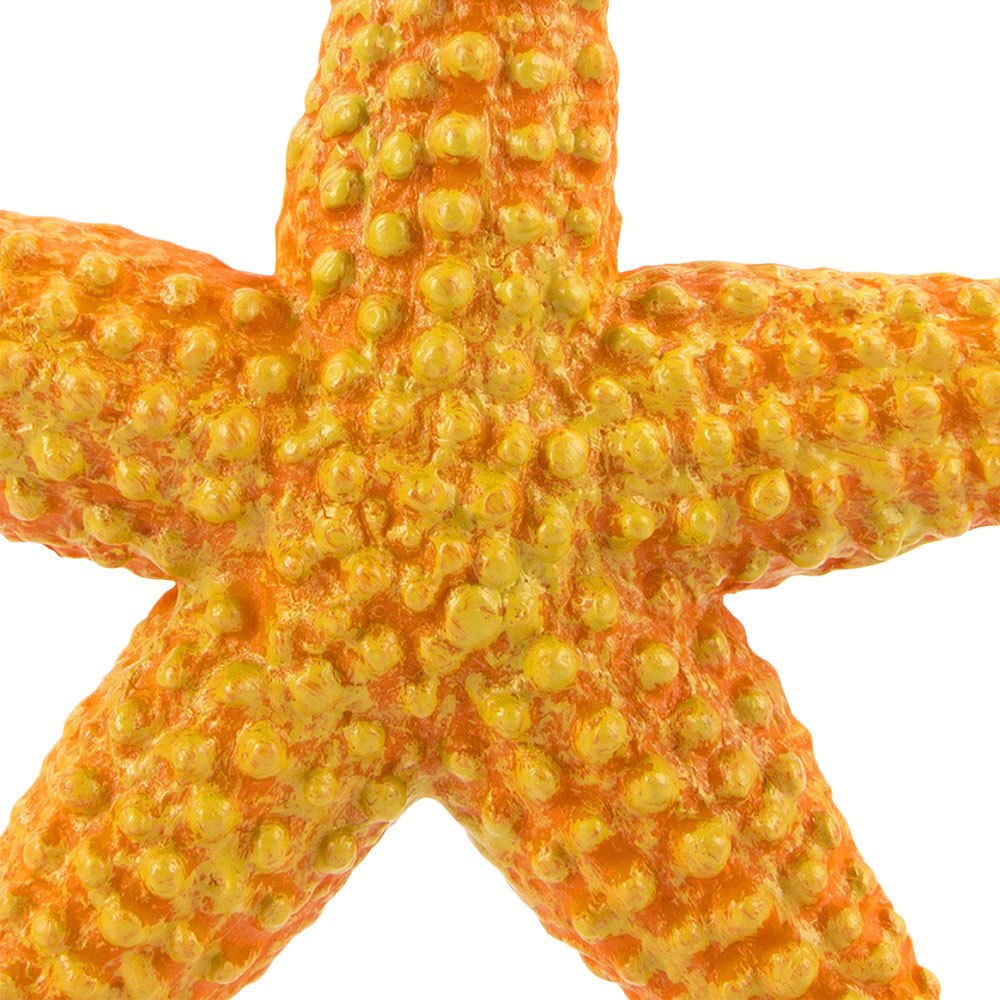 Купить Safari ltd S276829 Starfish Sea Life Фигура Оранжевый Orange From 3 Years  7ft.ru в интернет магазине Семь Футов