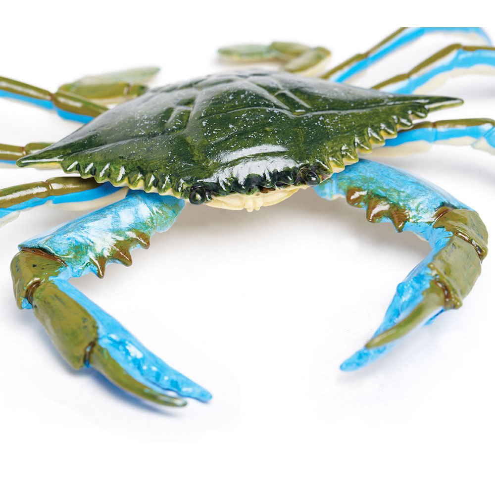 Купить Safari ltd S269729 Blue Crab Фигура Зеленый  Green / Blue From 3 Years  7ft.ru в интернет магазине Семь Футов