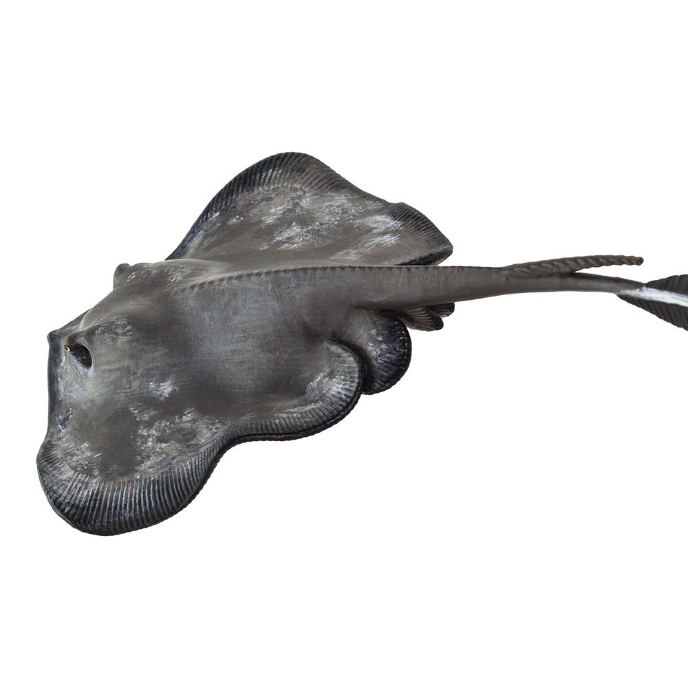 Купить Safari ltd S100507 Sting Ray Фигура Серый  Grey From 3 Years  7ft.ru в интернет магазине Семь Футов