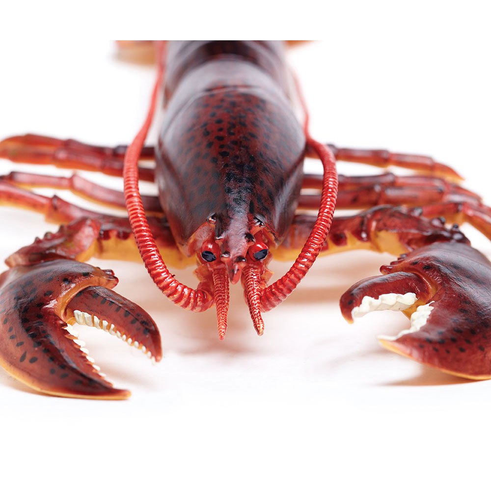 Купить Safari ltd S281629 Maine Lobster Фигура Красный  Red From 3 Years  7ft.ru в интернет магазине Семь Футов