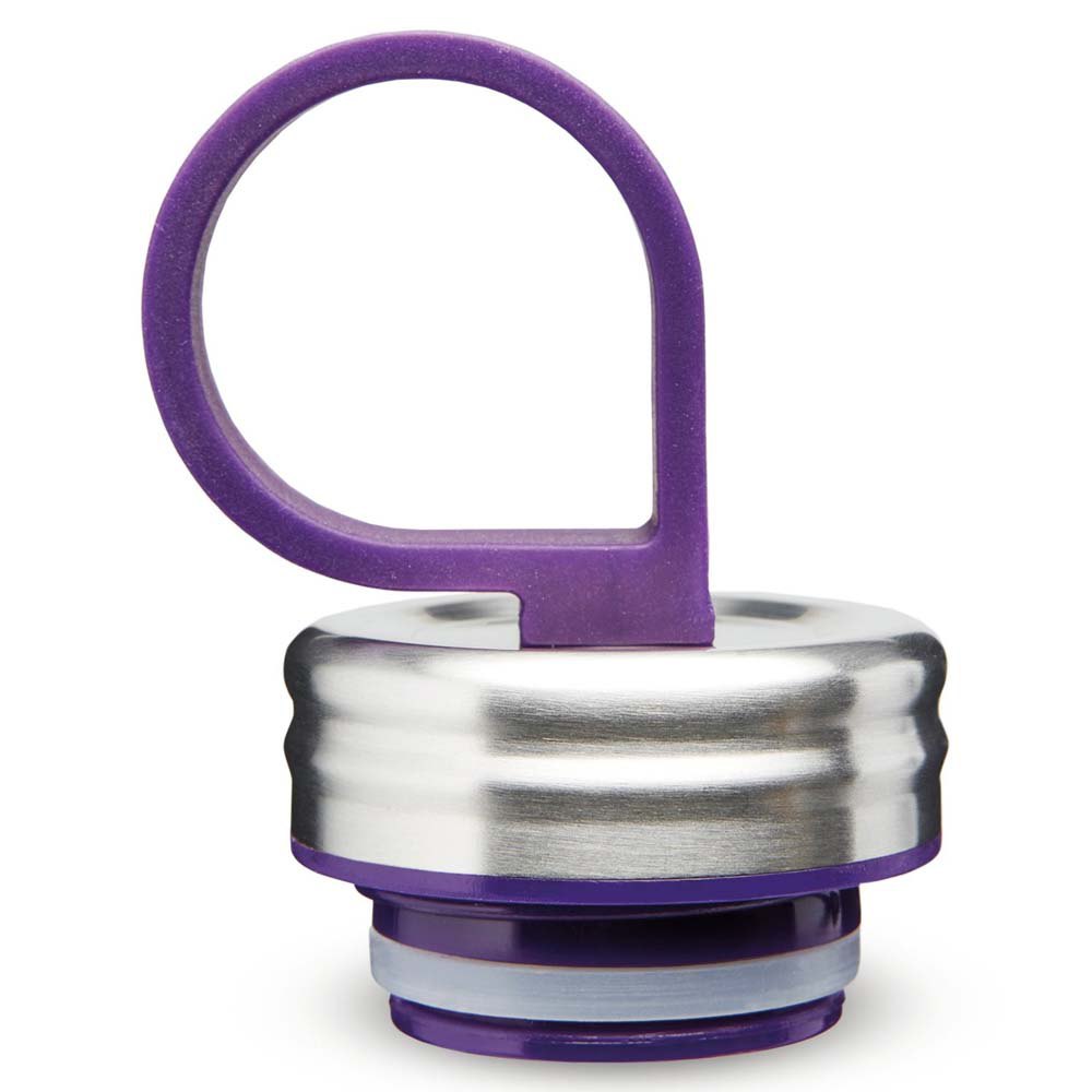 Купить Aladdin 10-09425-003 Chilled Thermavac™ Бутылка из нержавеющей стали 0,55 л Фиолетовый Purple 7ft.ru в интернет магазине Семь Футов