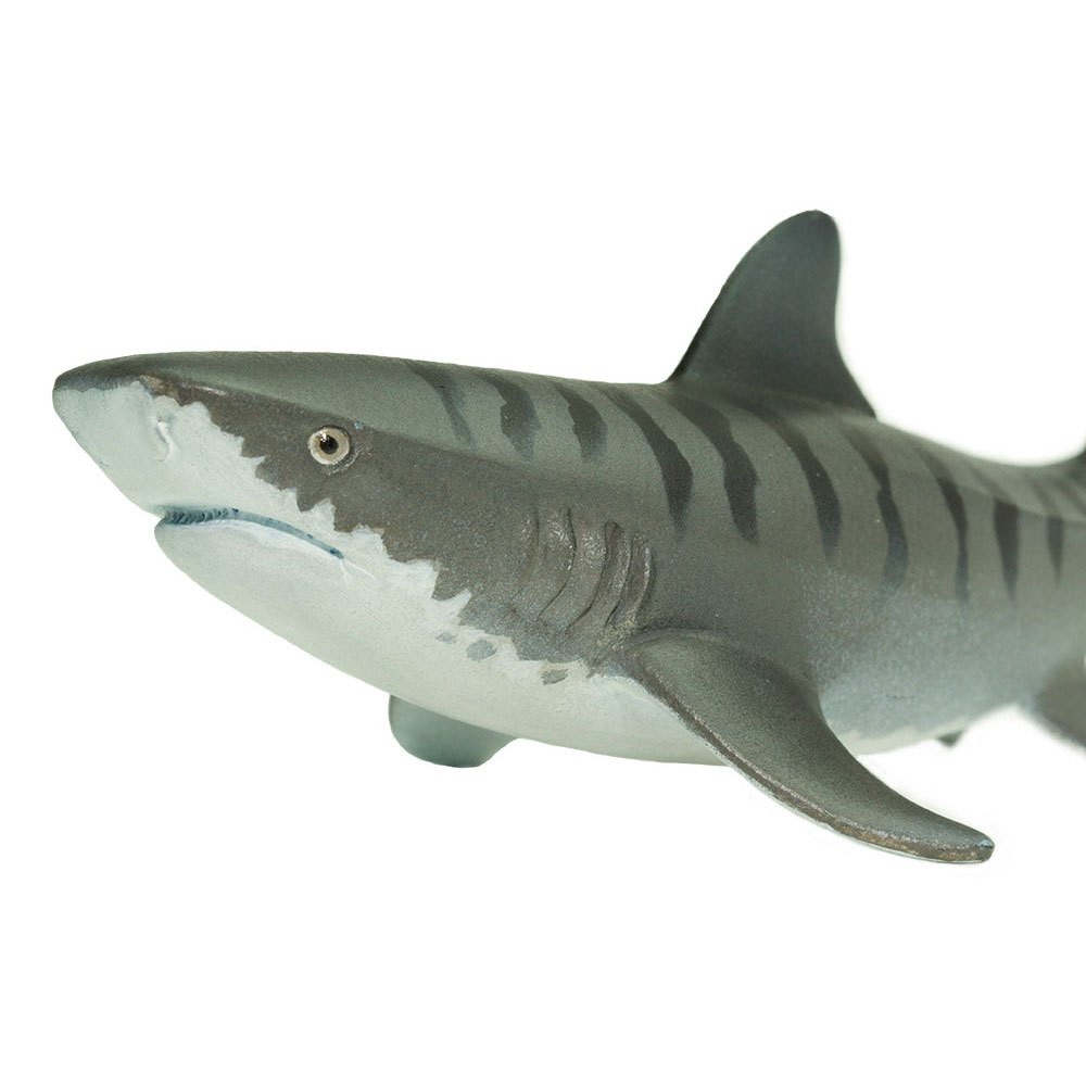 Купить Safari ltd S202229 Tiger Shark Sea Life Фигура Серый  Grey From 3 Years  7ft.ru в интернет магазине Семь Футов
