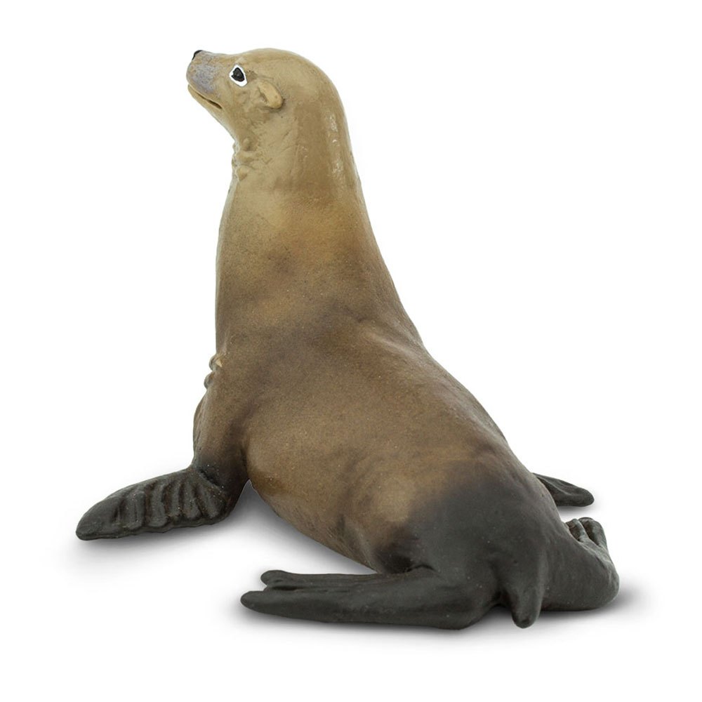 Купить Safari ltd S274229 Sea Lion Фигура Коричневый  Brown From 3 Years  7ft.ru в интернет магазине Семь Футов