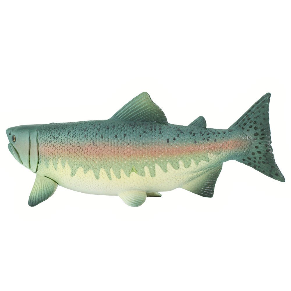 Купить Safari ltd S100205 Salmon Фигура Зеленый  Multicolor From 3 Years  7ft.ru в интернет магазине Семь Футов