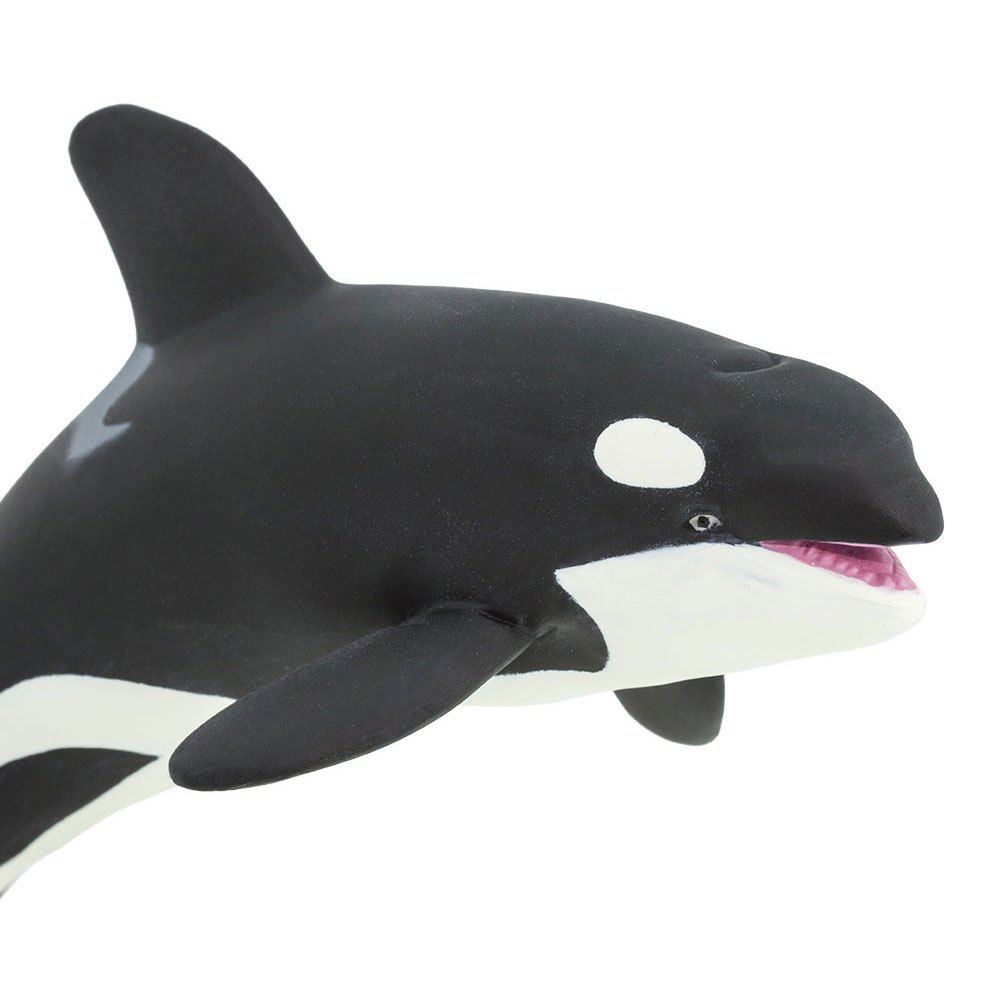 Купить Safari ltd S210202 Killer Whale Фигура Белая  Black / White From 3 Years  7ft.ru в интернет магазине Семь Футов