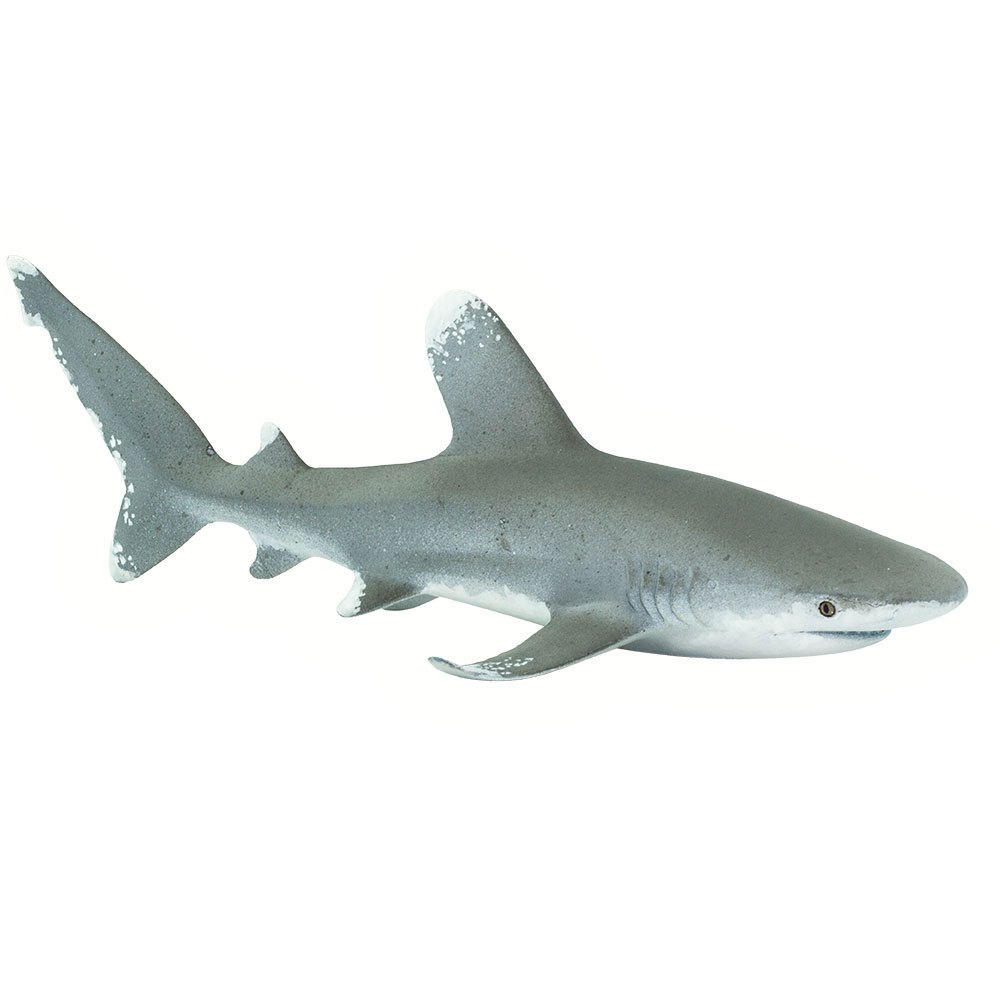 Купить Safari ltd S100271 Oceanic Whitetip Shark Фигура Серый Grey From 3 Years  7ft.ru в интернет магазине Семь Футов