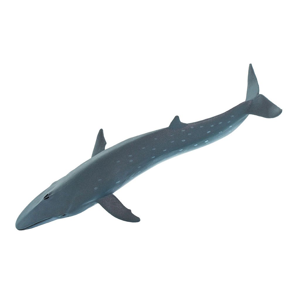 Купить Safari ltd S100098 Sei Whale Фигура Голубой  Grey From 3 Years  7ft.ru в интернет магазине Семь Футов