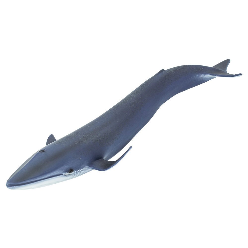 Купить Safari ltd S223229 Blue Whale Фигура Голубой  Blue From 3 Years  7ft.ru в интернет магазине Семь Футов