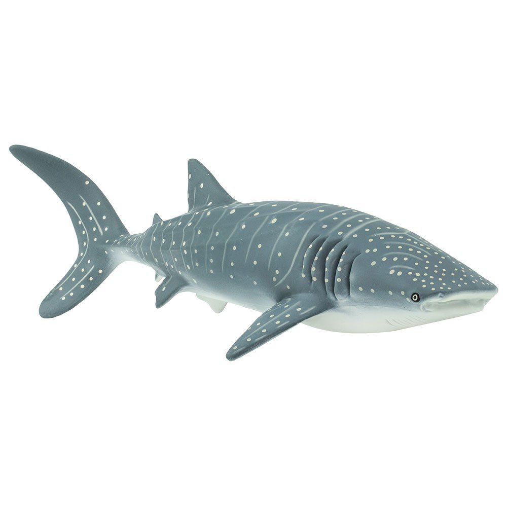 Купить Safari ltd S210602 Whale Shark Фигура Голубой  Grey From 3 Years  7ft.ru в интернет магазине Семь Футов