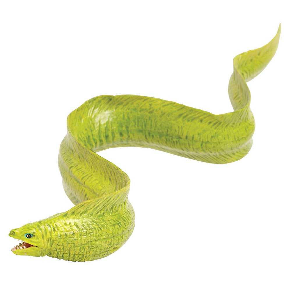 Купить Safari ltd S261529 Moray Eel Фигура Зеленый  Green From 3 Years  7ft.ru в интернет магазине Семь Футов