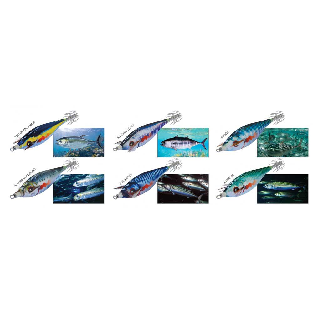 Купить DTD 10834-BO Bloody Fish 2.5 Кальмар 70 Mm 9.9g Многоцветный Bonito 7ft.ru в интернет магазине Семь Футов