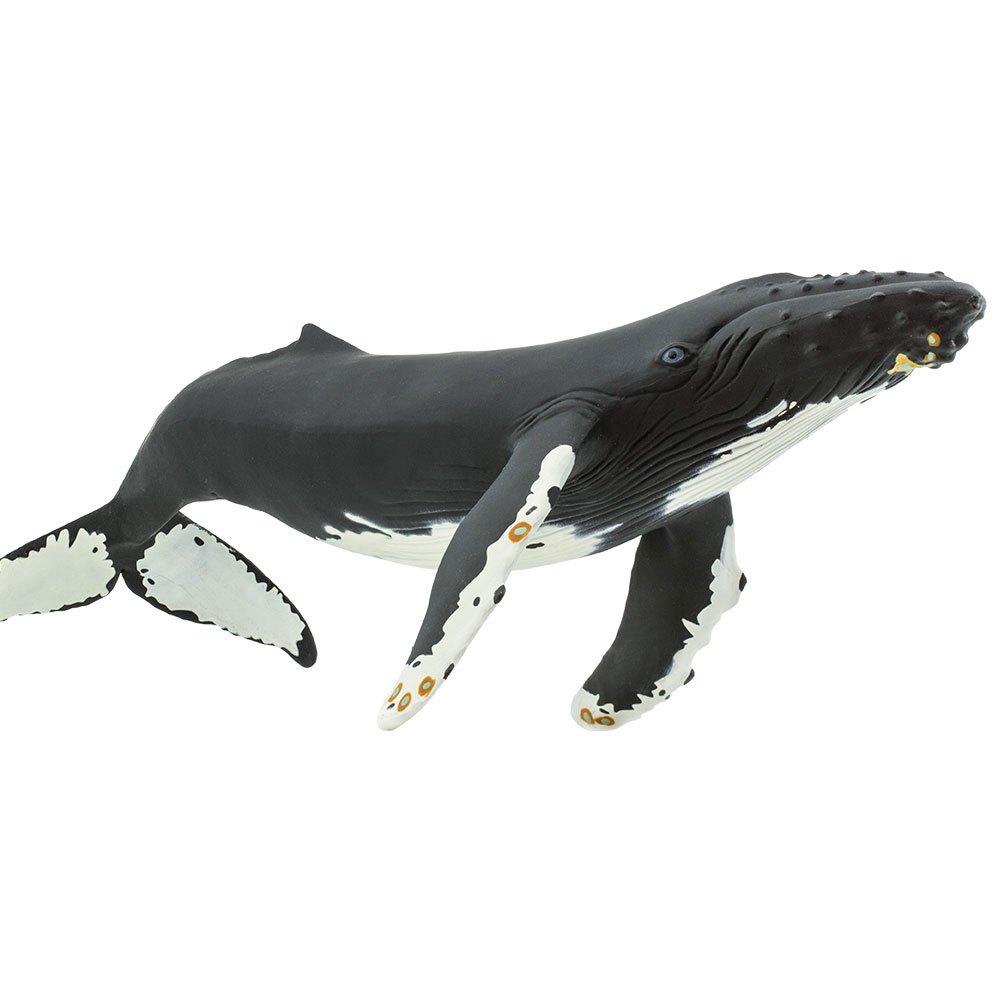 Купить Safari ltd S210002 Humpback Whale Фигура Черный  Black From 3 Years  7ft.ru в интернет магазине Семь Футов