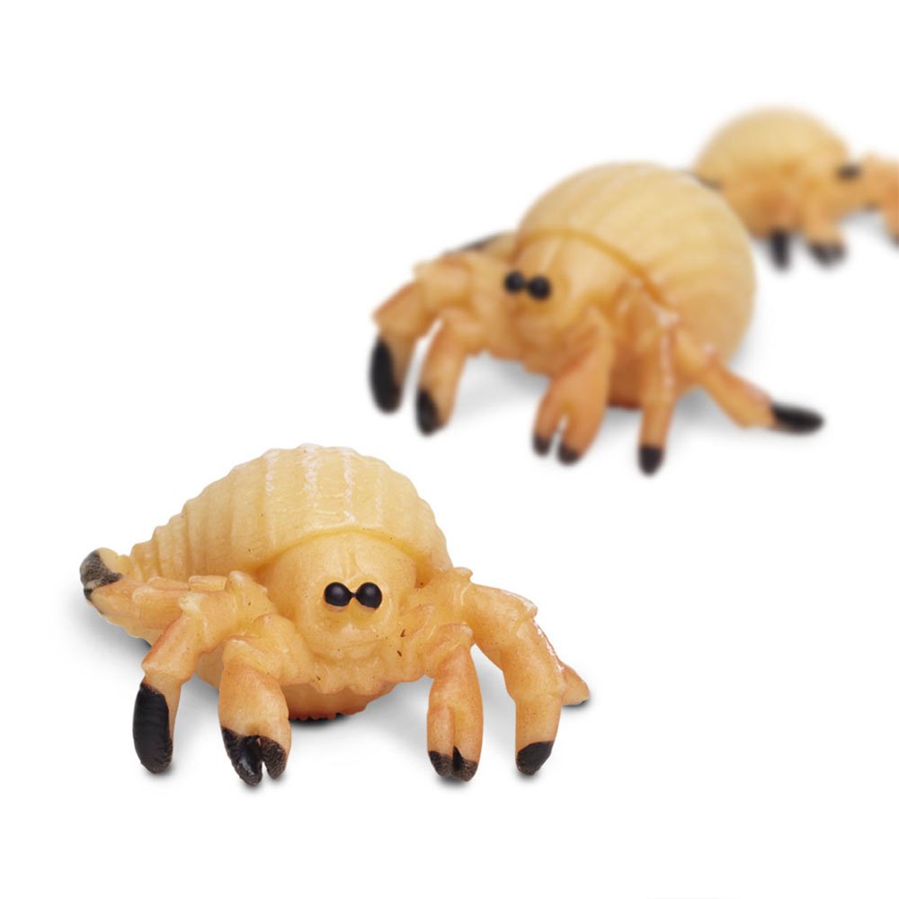 Купить Safari ltd S342822 Hermit Crabs Good Luck Minis Фигура Оранжевый Orange From 3 Years  7ft.ru в интернет магазине Семь Футов