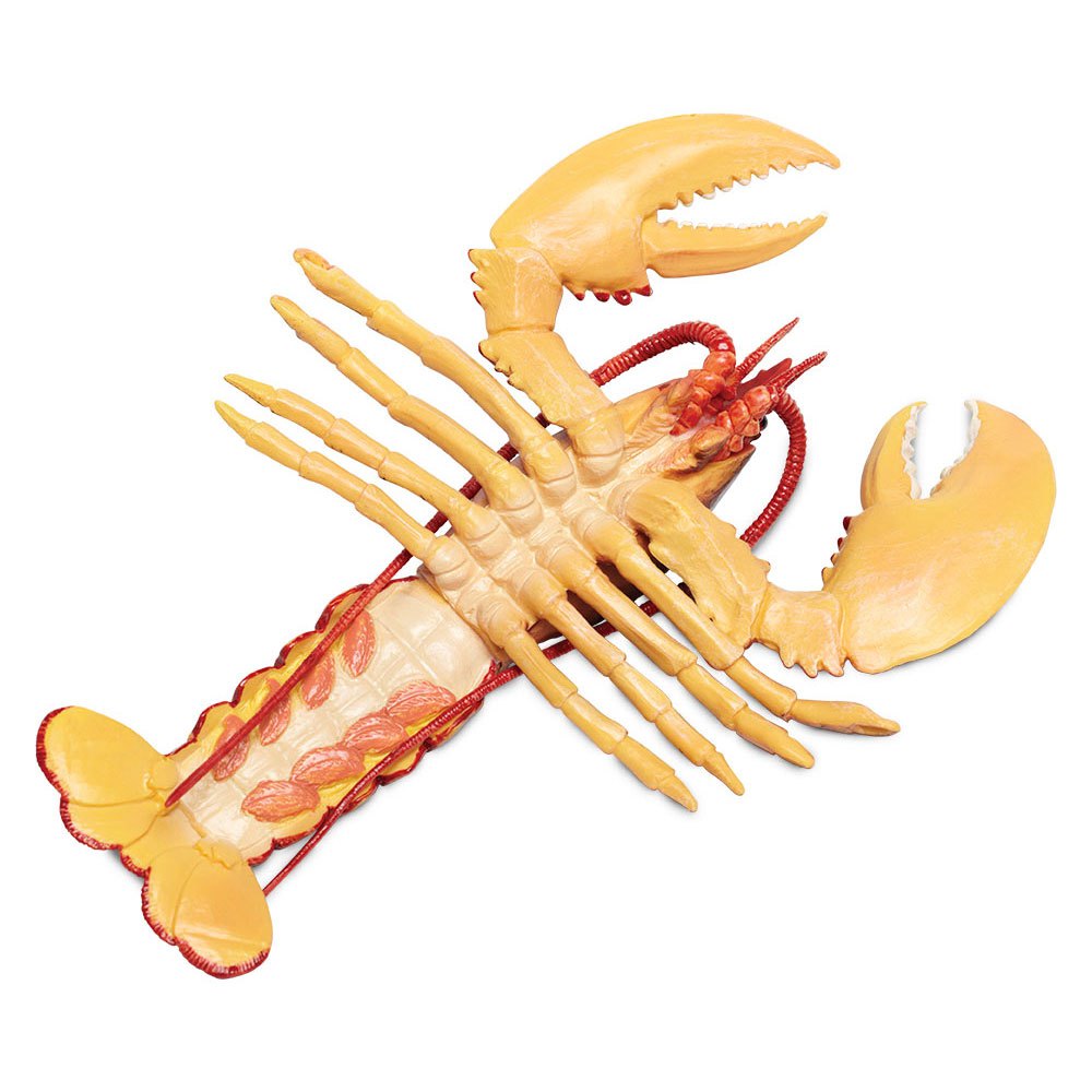 Купить Safari ltd S281629 Maine Lobster Фигура Красный  Red From 3 Years  7ft.ru в интернет магазине Семь Футов