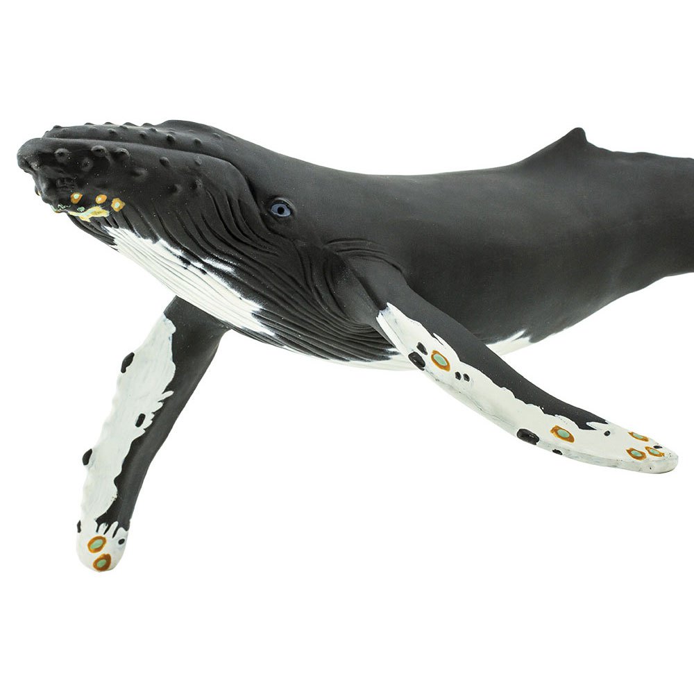 Купить Safari ltd S210002 Humpback Whale Фигура Черный  Black From 3 Years  7ft.ru в интернет магазине Семь Футов