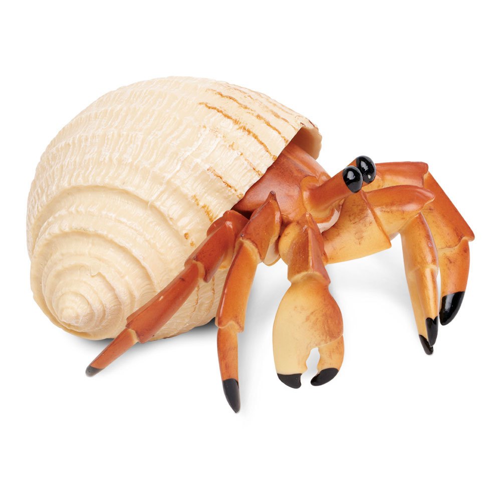 Купить Safari ltd S267529 Hermit Crab Фигура Оранжевый  Orange From 3 Years  7ft.ru в интернет магазине Семь Футов