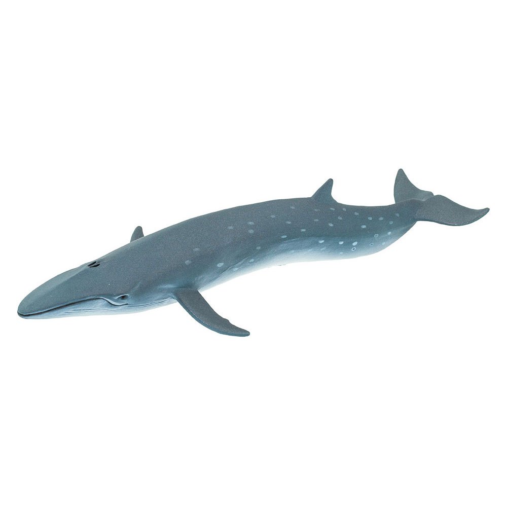 Купить Safari ltd S100098 Sei Whale Фигура Голубой  Grey From 3 Years  7ft.ru в интернет магазине Семь Футов