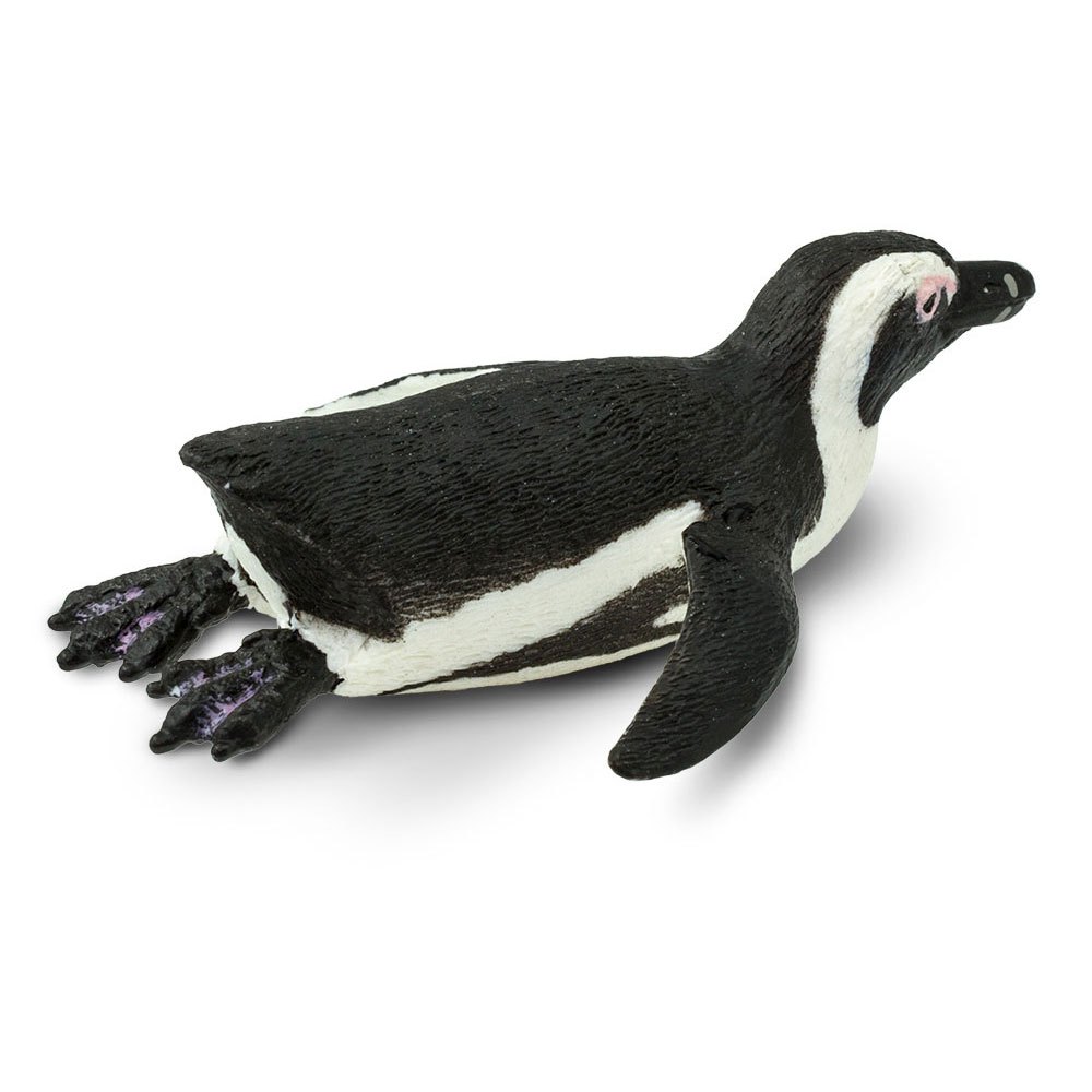 Купить Safari ltd S220529 South African Penguin Фигура Белая White / Black From 3 Years  7ft.ru в интернет магазине Семь Футов