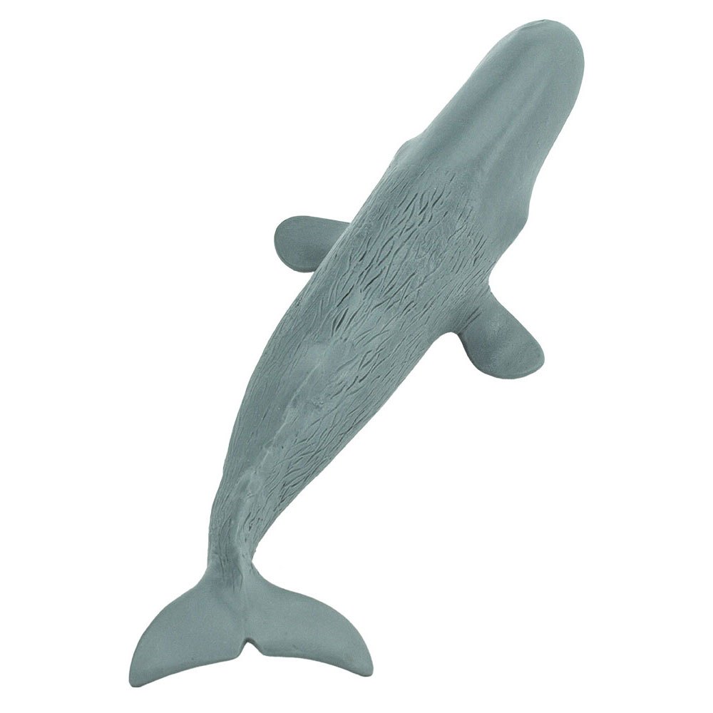 Купить Safari ltd S275529 Sperm Whale Sea Life Фигура Голубой Grey From 3 Years  7ft.ru в интернет магазине Семь Футов