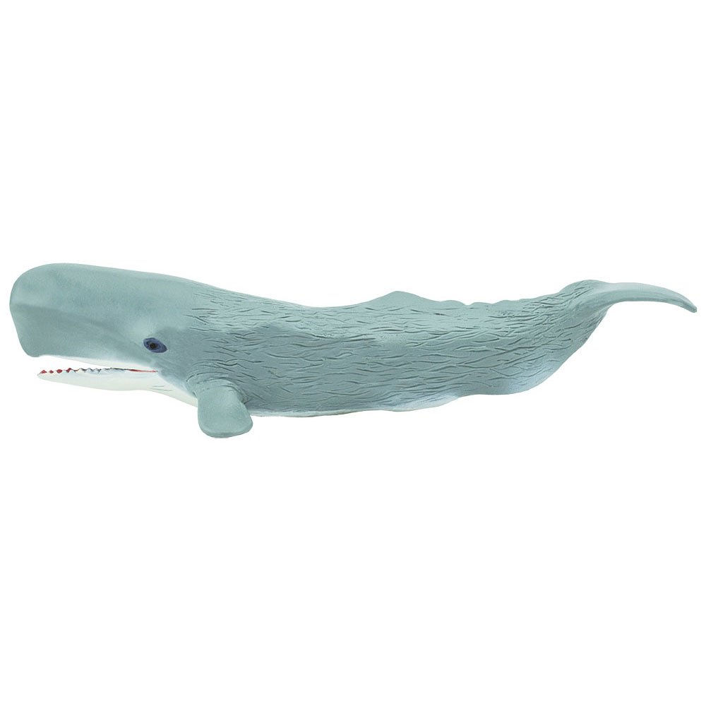 Купить Safari ltd S275529 Sperm Whale Sea Life Фигура Голубой Grey From 3 Years  7ft.ru в интернет магазине Семь Футов