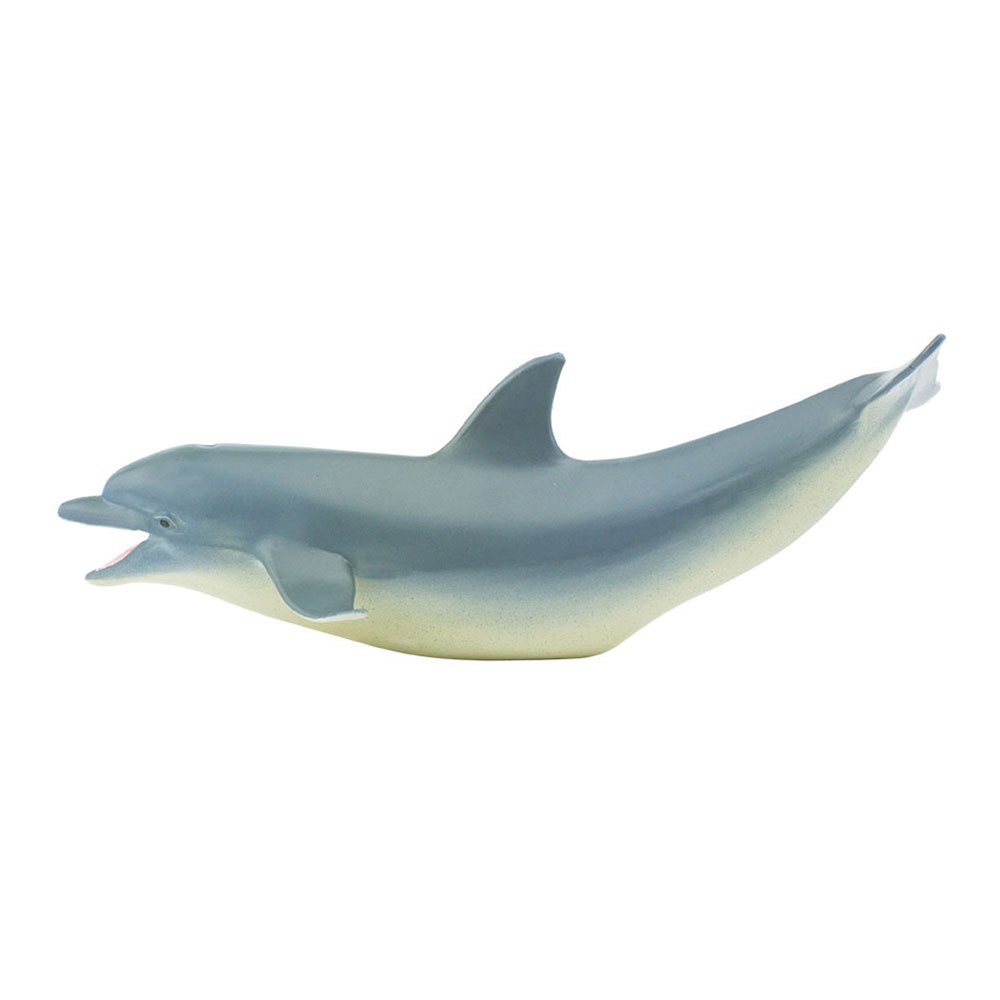Купить Safari ltd S275329 Dolphin Sea Life Фигура Голубой  Grey From 3 Years  7ft.ru в интернет магазине Семь Футов