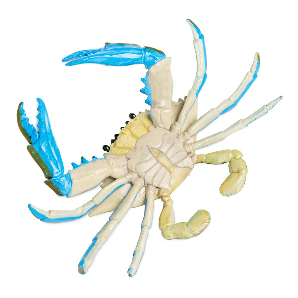 Купить Safari ltd S269729 Blue Crab Фигура Зеленый  Green / Blue From 3 Years  7ft.ru в интернет магазине Семь Футов