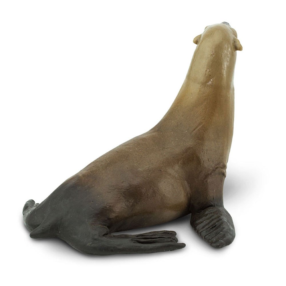 Купить Safari ltd S274229 Sea Lion Фигура Коричневый  Brown From 3 Years  7ft.ru в интернет магазине Семь Футов