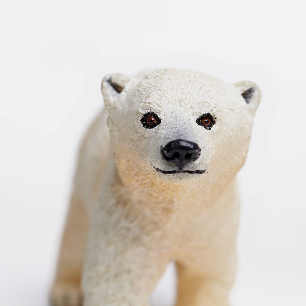 Купить Safari ltd S273429 Polar Bear Cub Фигура Белая  White From 3 Years  7ft.ru в интернет магазине Семь Футов