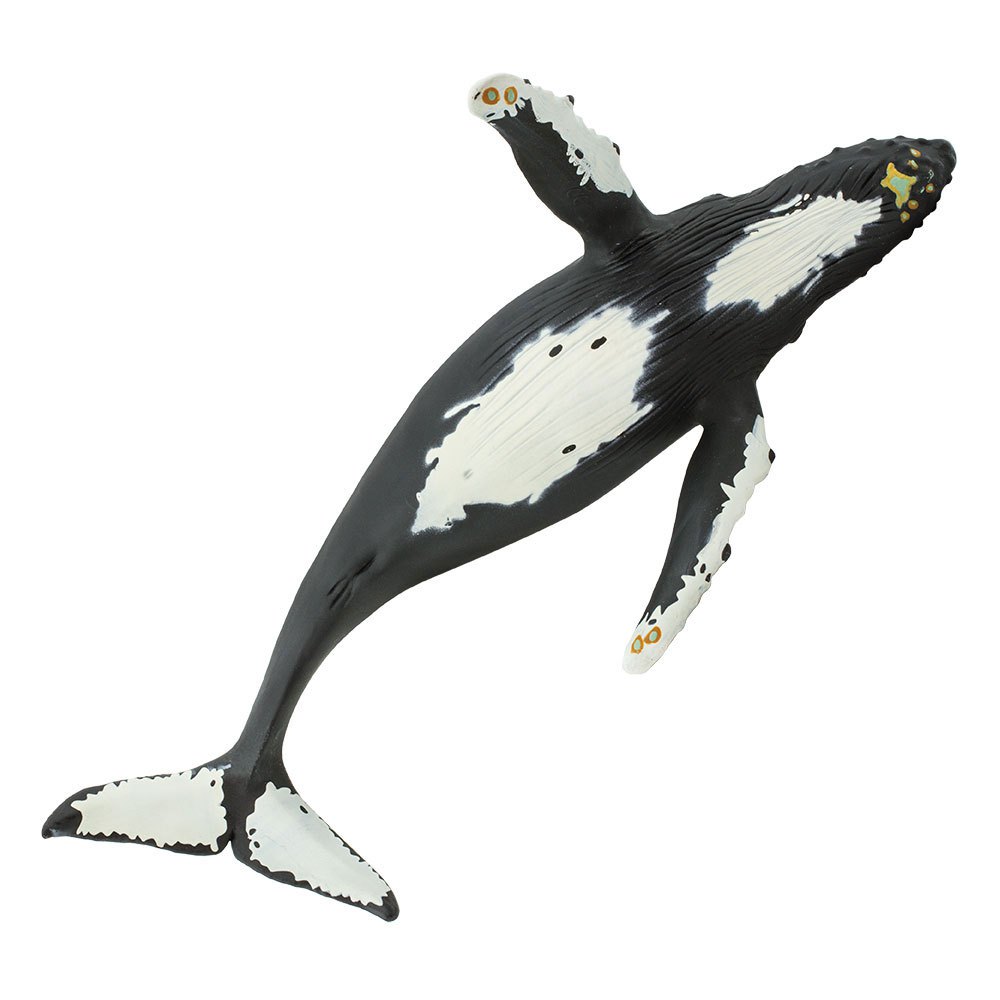 Купить Safari ltd S210002 Humpback Whale Фигура Черный  Black From 3 Years  7ft.ru в интернет магазине Семь Футов