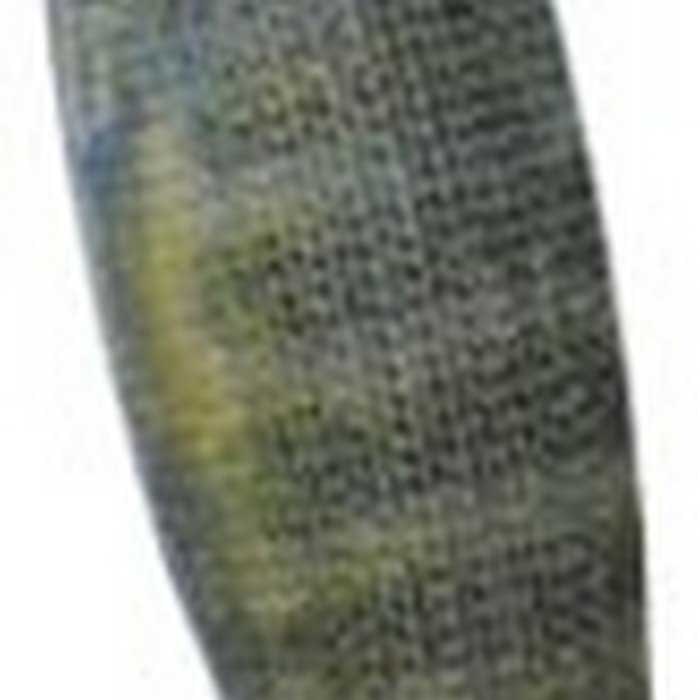 Купить DTD 10075-G Kanjac 3.0 Кальмар 80 Mm 13.2g Многоцветный Green 7ft.ru в интернет магазине Семь Футов