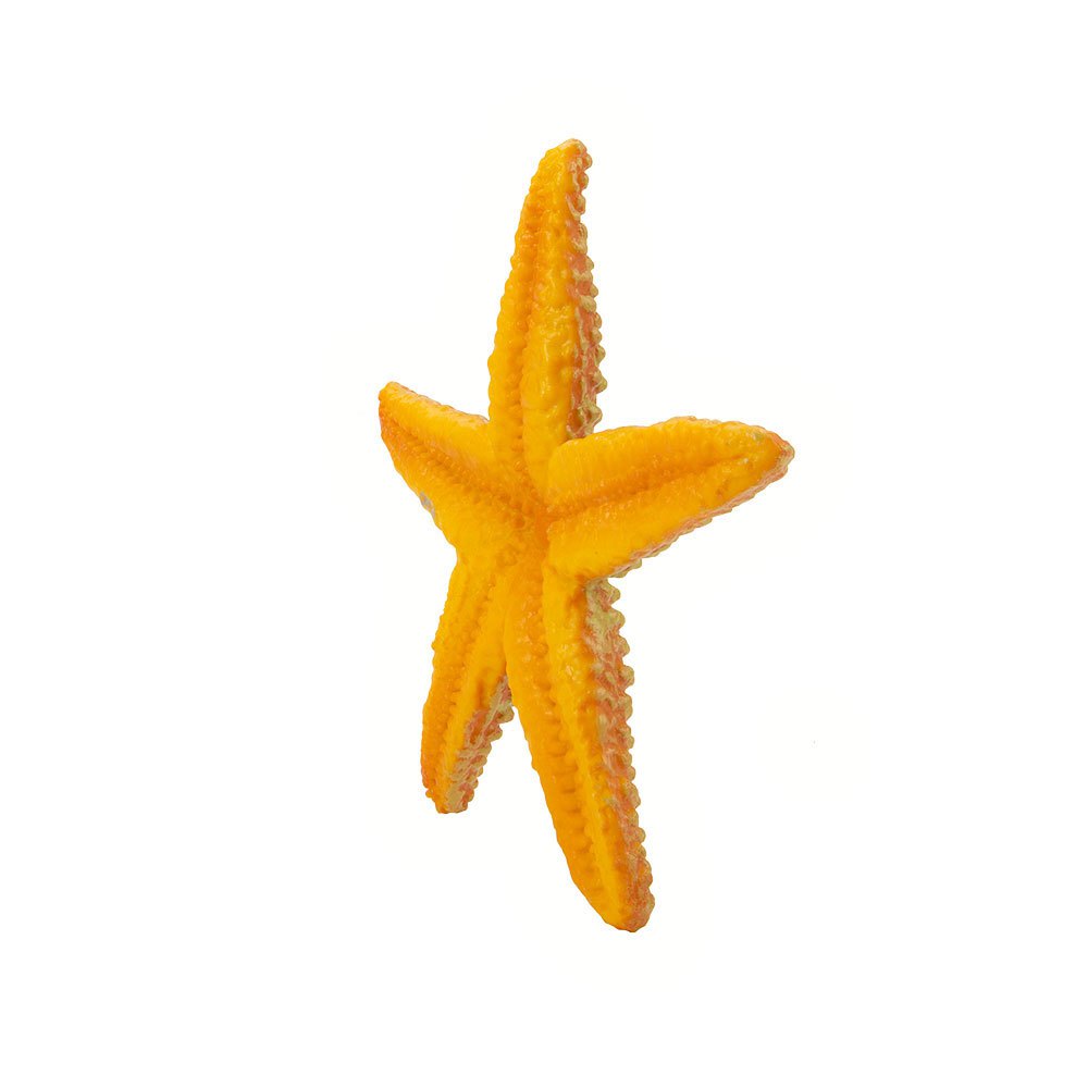 Купить Safari ltd S276829 Starfish Sea Life Фигура Оранжевый Orange From 3 Years  7ft.ru в интернет магазине Семь Футов