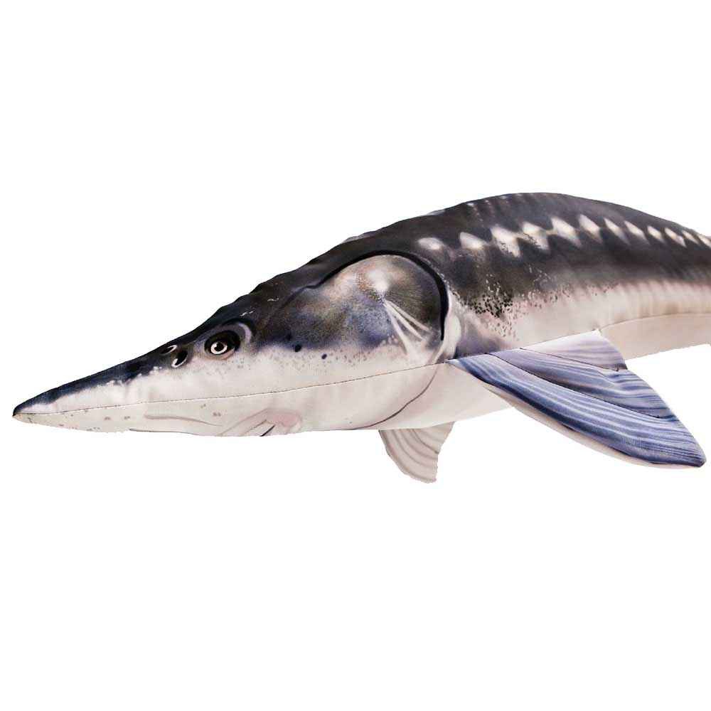 Купить Gaby GP-175389 The Monster European Sturgeon Многоцветный Blue / White / Black 7ft.ru в интернет магазине Семь Футов