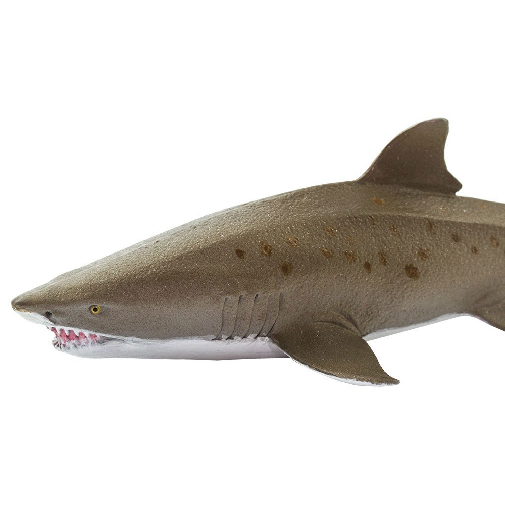 Купить Safari ltd S100369 Sand Tiger Shark Фигура Зеленый  Grey From 3 Years  7ft.ru в интернет магазине Семь Футов