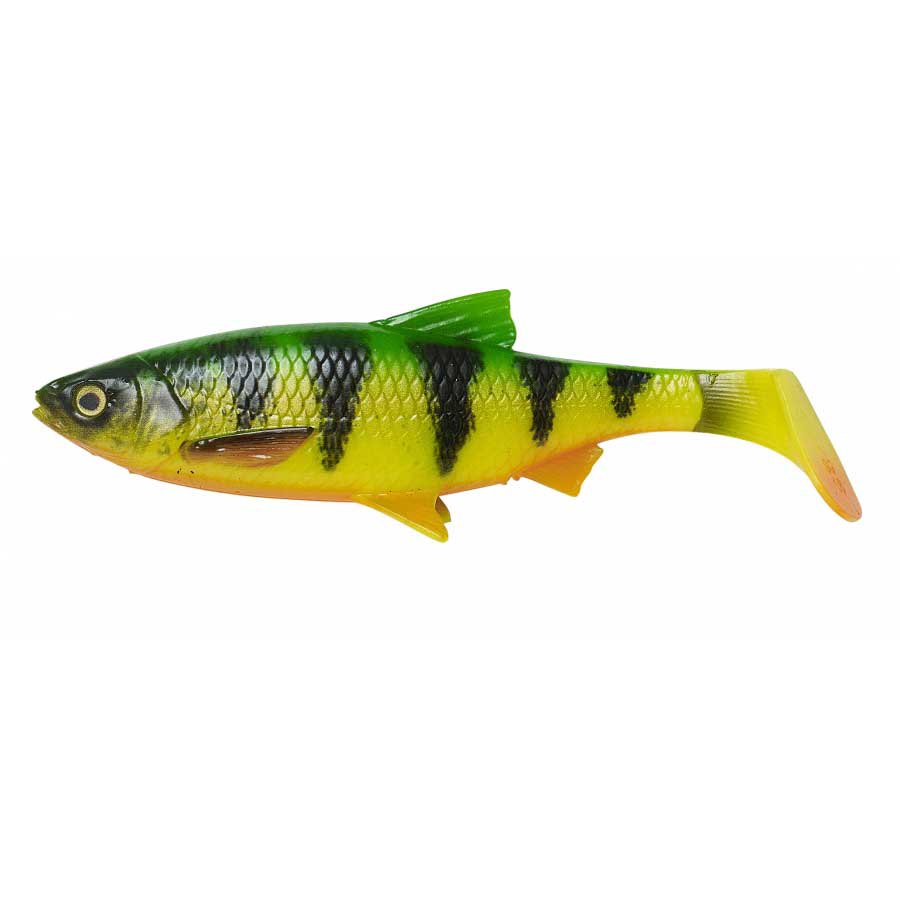 Купить Savage gear 63713 3D LB River Roach 220 Mm 125g 10 Единицы Многоцветный Perch 7ft.ru в интернет магазине Семь Футов