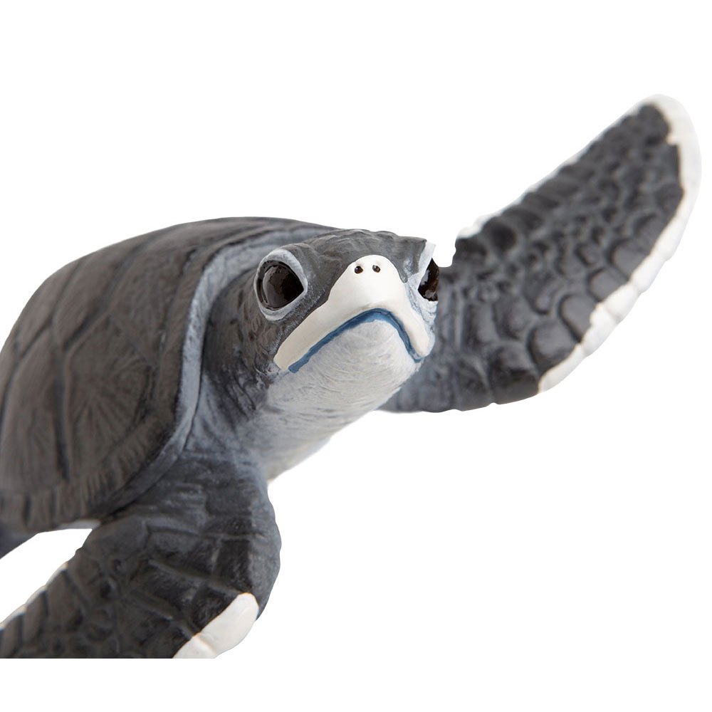 Купить Safari ltd S268129 Sea Turtle Baby Фигура Серый  Grey From 3 Years  7ft.ru в интернет магазине Семь Футов