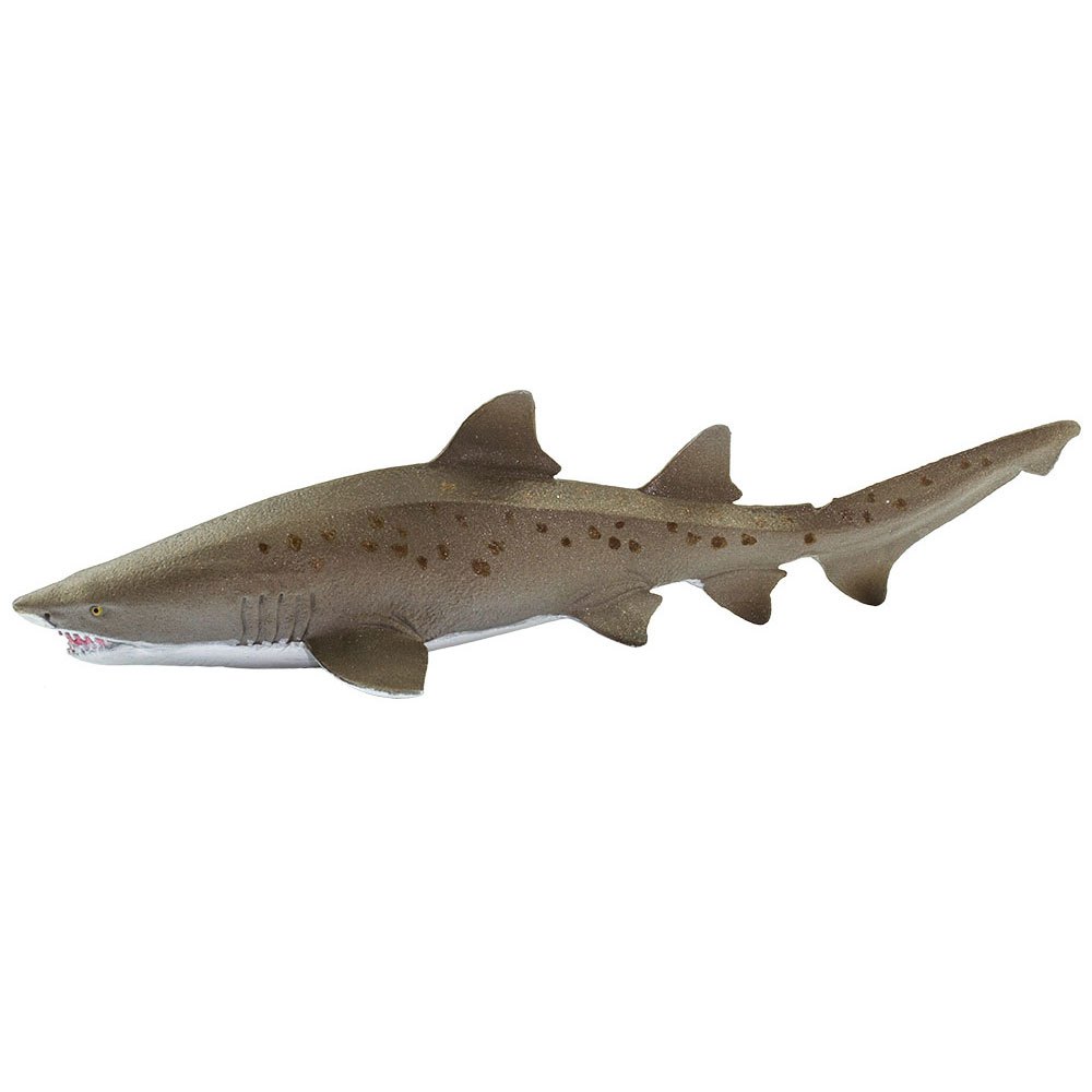 Купить Safari ltd S100369 Sand Tiger Shark Фигура Зеленый  Grey From 3 Years  7ft.ru в интернет магазине Семь Футов