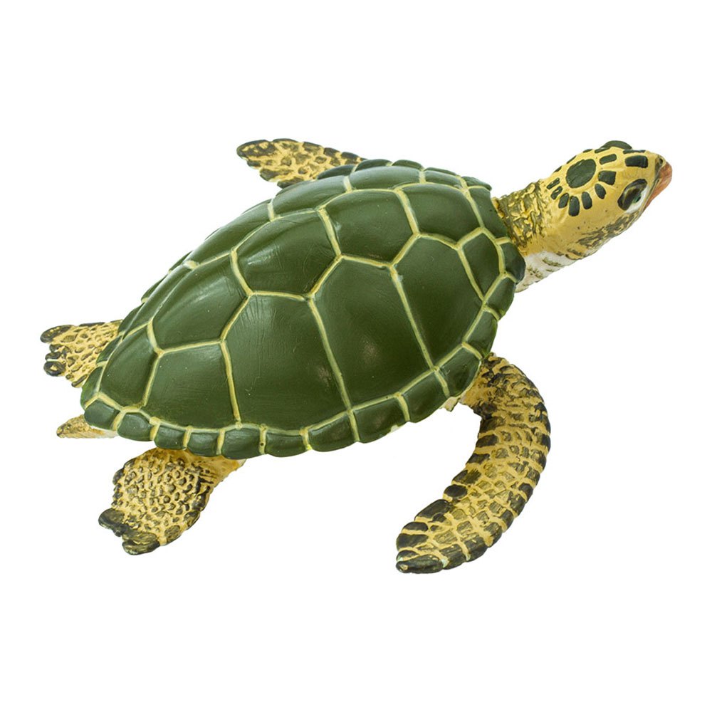 Купить Safari ltd S274329 Green Sea Turtle Wildlife Фигура Зеленый Green / Yellow From 3 Years  7ft.ru в интернет магазине Семь Футов