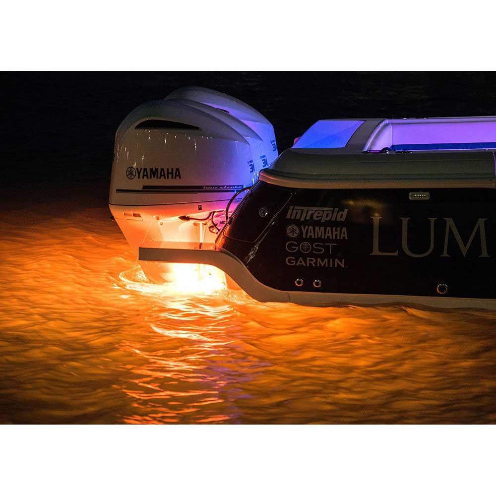 Купить Lumitec 451-101436 Seablaze RGBW светодиодный свет Черный Silver 670 Lumens  7ft.ru в интернет магазине Семь Футов